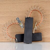 13,5x5x43,5mm Kohlebürsten Ersatz für Bosch...